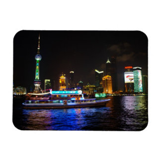 Flexible Pudong Night Skyline Magnet