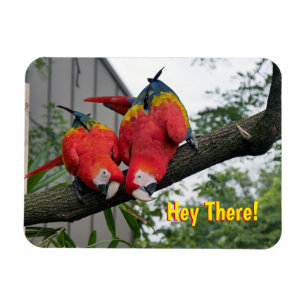 Flexible Red Macaws Magnet