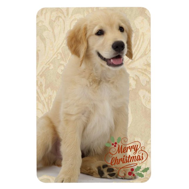 Flexible Refrigerator Magnet Pet's Modèle photo Christmas (Vertical)