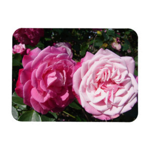Flexible Rose rose rose photo vintage Anniversaire Magnet