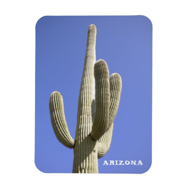 Flexible Saguaro Cactus - Arizona - Magnet (Vertical)