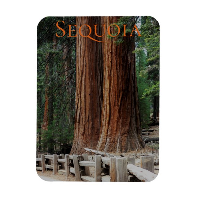 Flexible Sequoia/Kings Canyon National Park Magnet (Vertical)