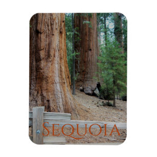 Flexible Sequoia/Kings Canyon National Park Magnet