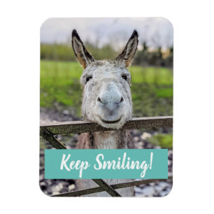Flexible Smiling Donkey "Keep Smiling" Magnet