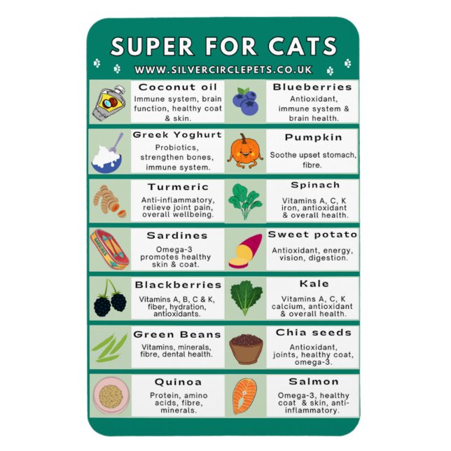 Flexible Super Foods for Cats Fridge Magnet (Vertical)