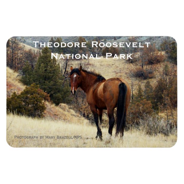 Flexible Theodore Roosevelt NP Magnet souvenir (Horizontal)