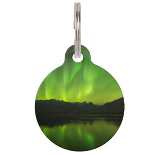 Flicking Aurora Pet Tag