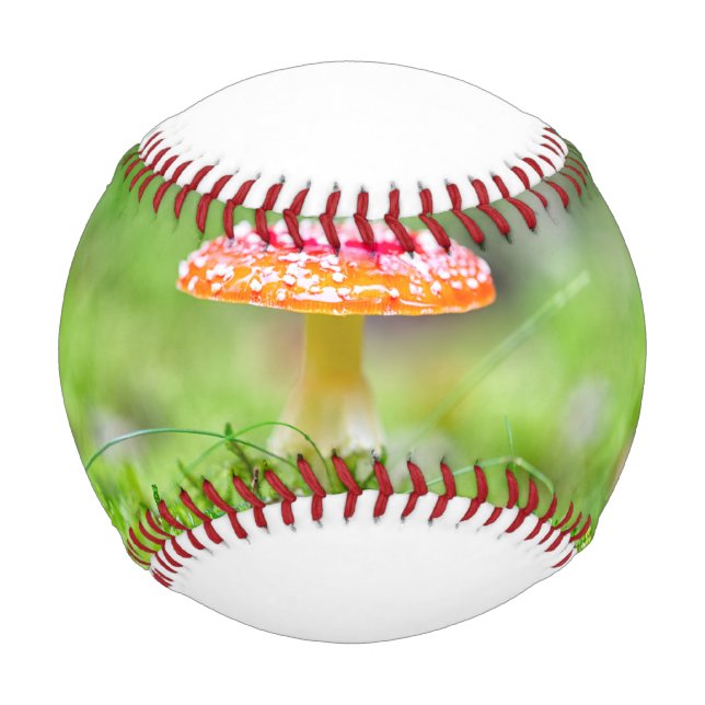 Fliegenpilz Baseball (Front)