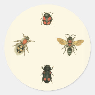 Flies and Beetles by Vision Studio Classic Round Sticker