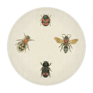 Flies and Beetles by Vision Studio Cutting Board