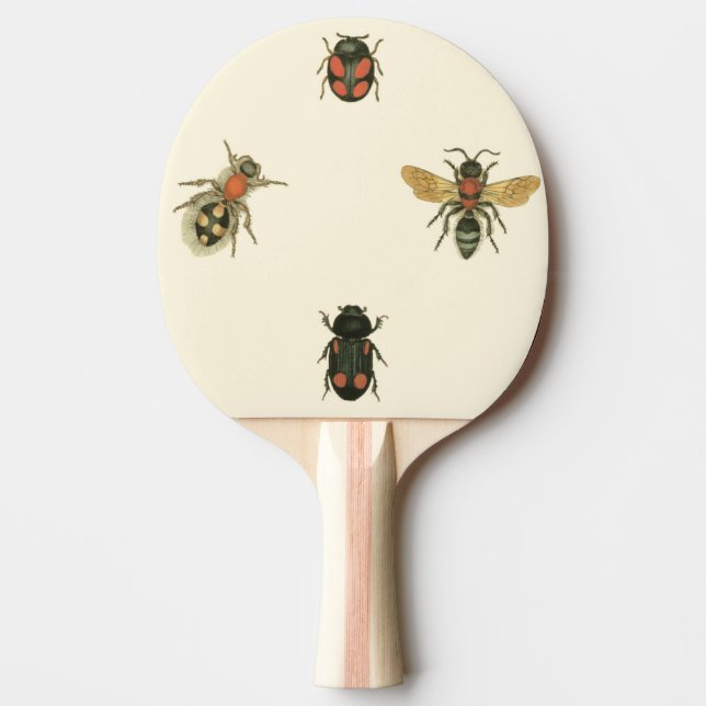 Flies and Beetles by Vision Studio Ping Pong Paddle (Front)