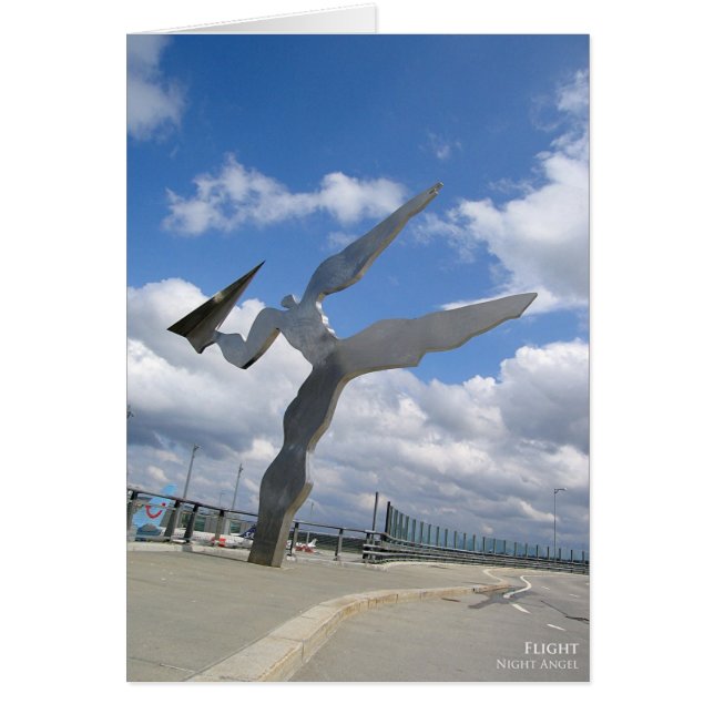 Flight (Front)