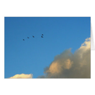Flight of geese