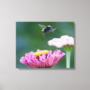 Flight of the Bumblebee Canvas Print