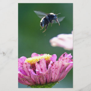 Flight of the Bumblebee Stationery