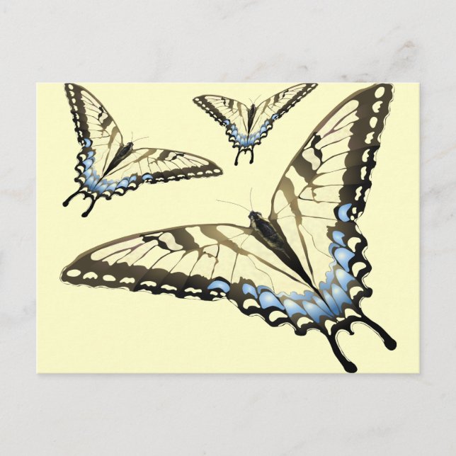 Flight of the Butterfly Postcard (Front)