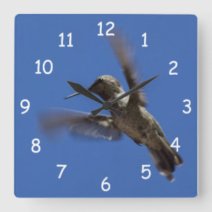 Flight of the Hummingbird Square Wall Clock