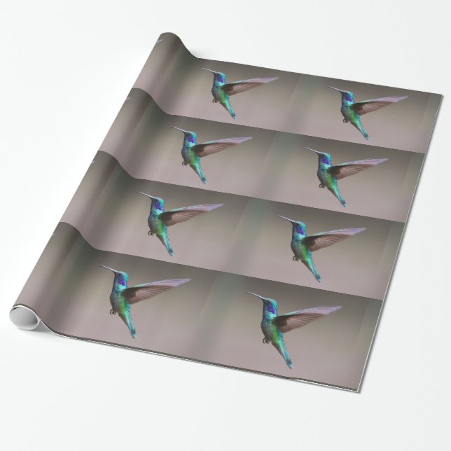 Flight Of The Hummingbird Wrapping Paper (Unrolled)