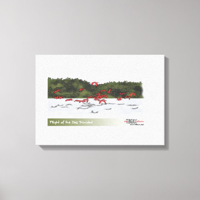 Flight of the Ibis Canvas Print (Front)