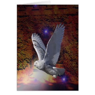 Flight of the Night Owl.