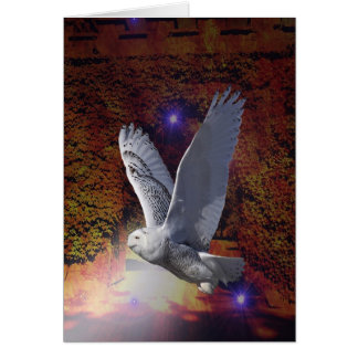 Flight of the Night Owl.