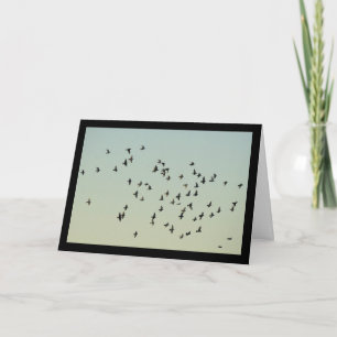 Flight of the Pigeons Card