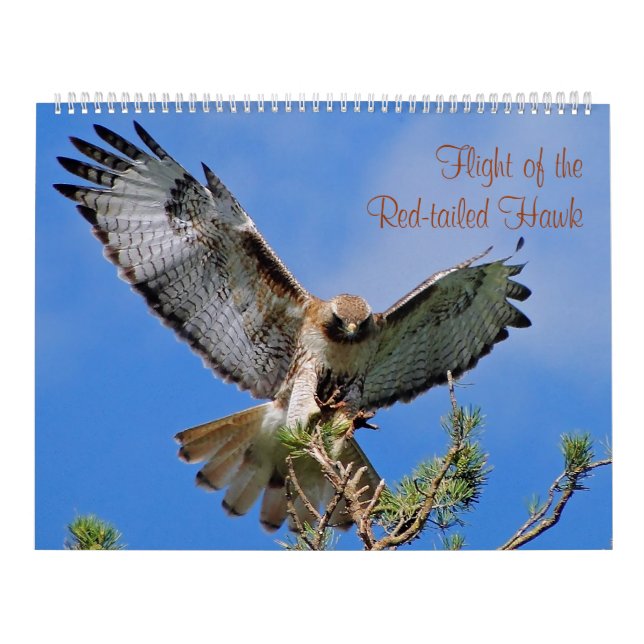 Flight of the Red Hawk Calendar (Cover)