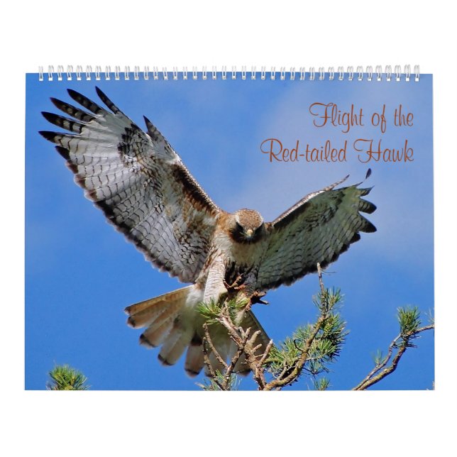 Flight of the Red Hawk Calendar (Cover)