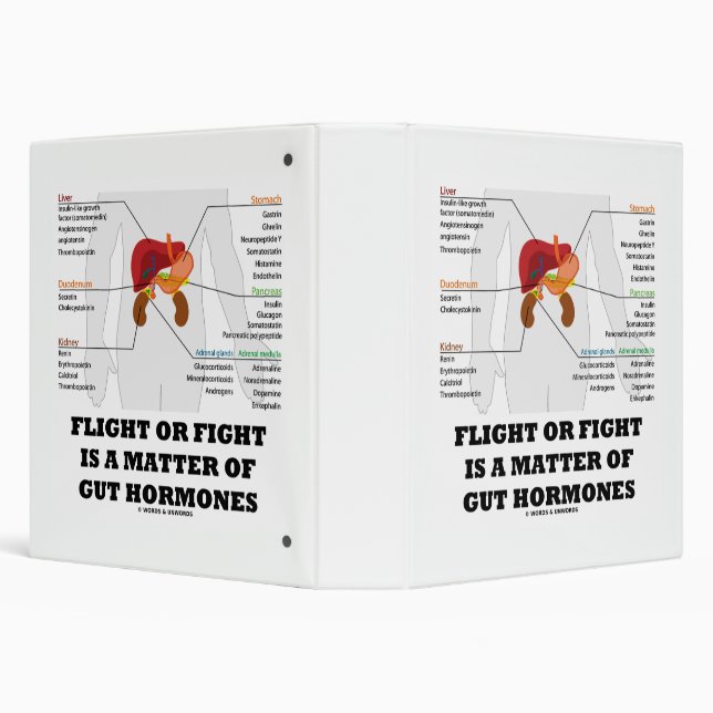 Flight Or Fight Is A Matter Of Gut Hormones Binder (Background)