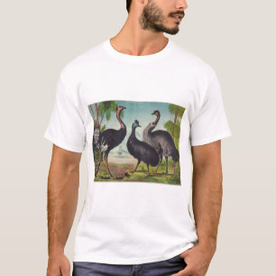 Flightless Birds emu cassowary ostrich australia T-Shirt