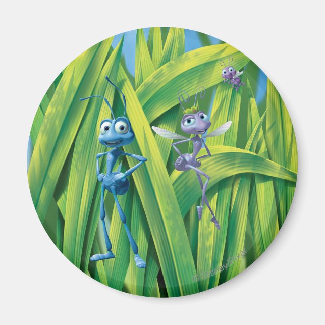 Flik, Dot and Princess Atta Magnet (Front)