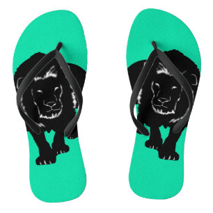 Flip Flops with Lion