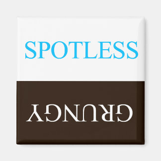 "FLIPPERS" SPOTLESS GRUNGY DISHWASHER MAGNET