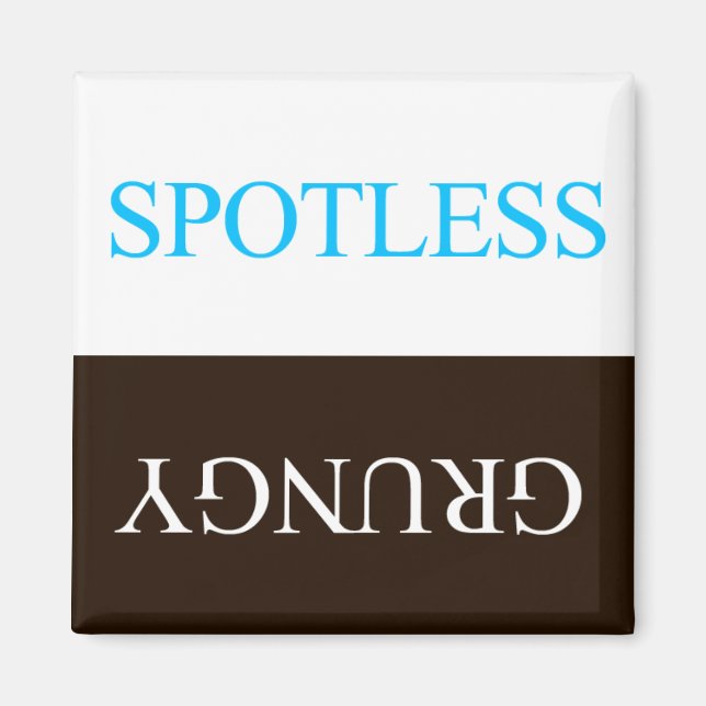 "FLIPPERS" SPOTLESS GRUNGY DISHWASHER MAGNET (Front)