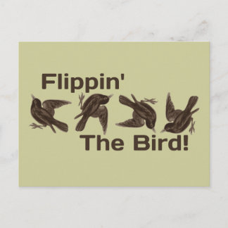 Flipping the Bird Postcard