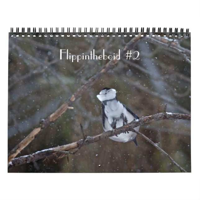Flippintheboid #2 calendar (Cover)
