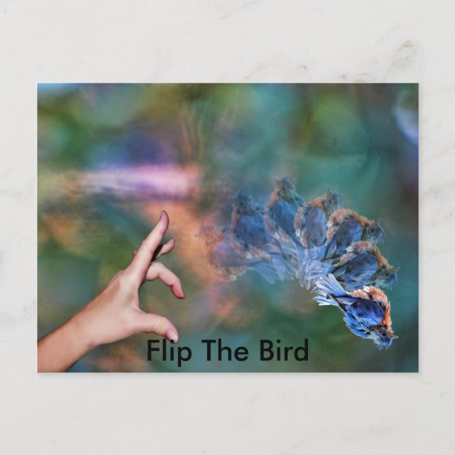 FlipTheBird, Postcard (Front)