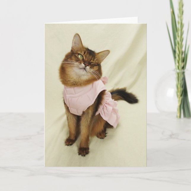 Flirty Cat Somali Cat Card (Front)