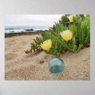 Float and Yellow Ice Plant Poster