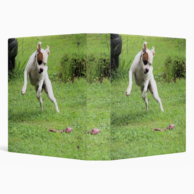Float Binder (Background)