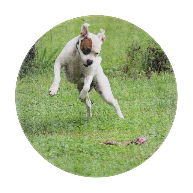 Float Cutting Board (Front)
