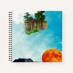 Float twice notebook
