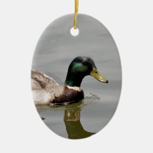Floating Duck Ceramic Ornament