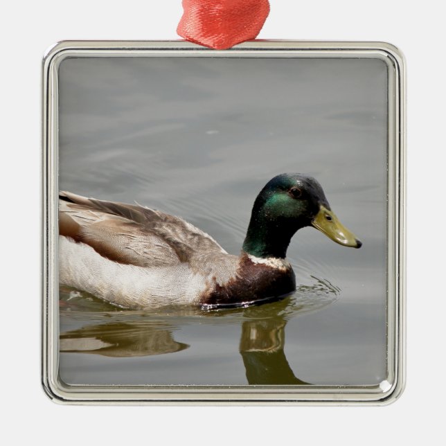 Floating Duck Metal Ornament (Front)