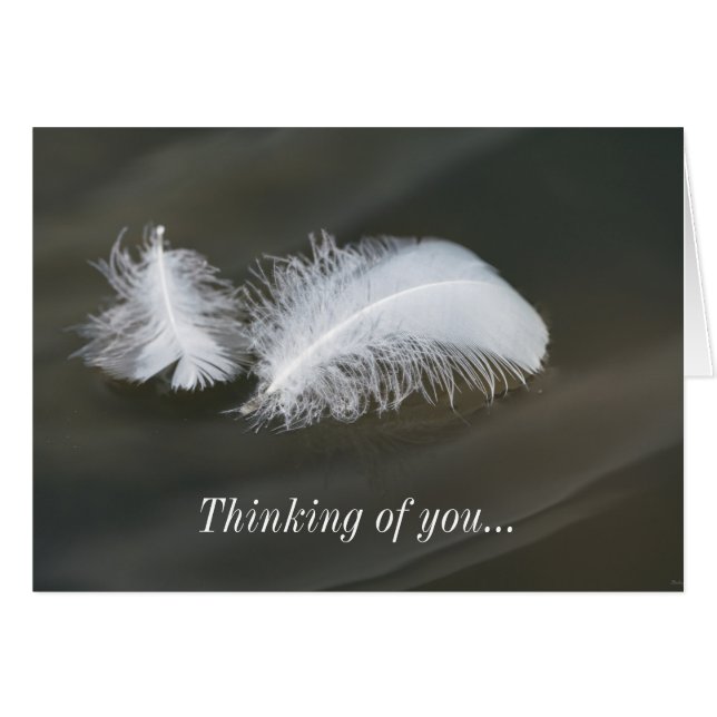 Floating Goose Feathers Thinking Of You Card (Front Horizontal)