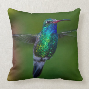 Floating Hummingbird Throw Pillow