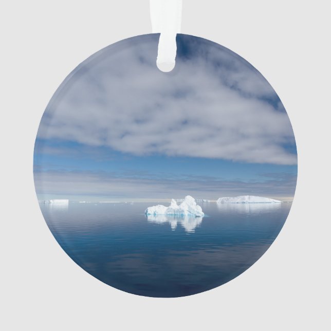 Floating ice in Antarctica Ornament (Back)
