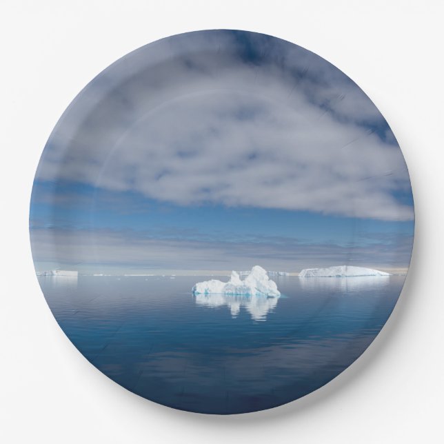 Floating ice in Antarctica Paper Plate (Front)