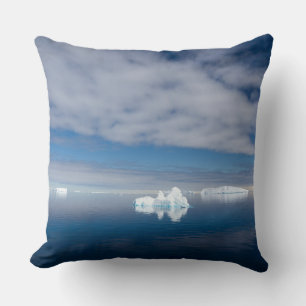 Floating ice in Antarctica Throw Pillow