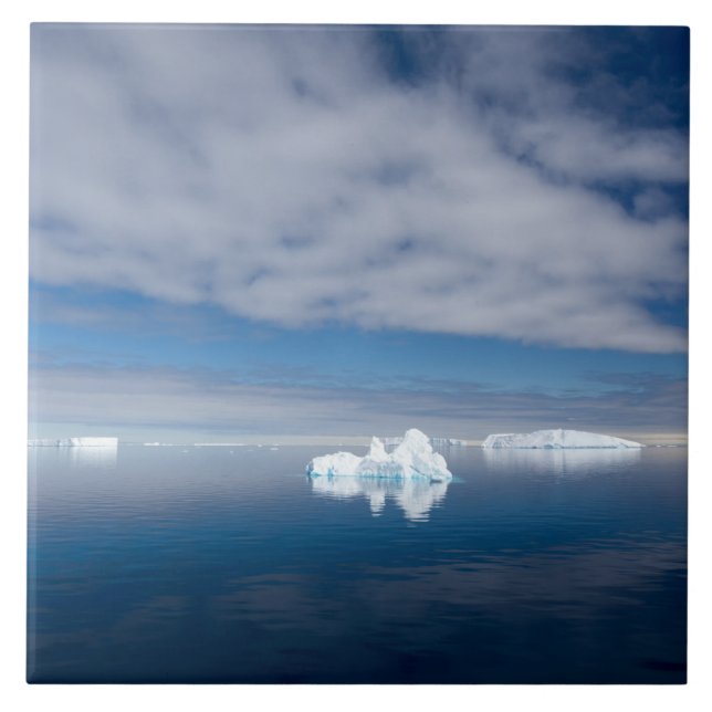 Floating ice in Antarctica Tile (Front)